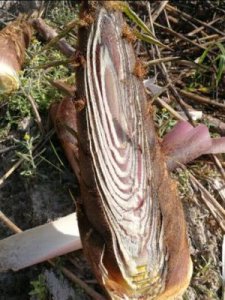 ​笋怎么剥(莴笋去皮去到什么程度)