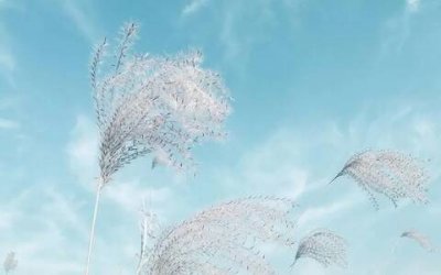 ​思念短信大全经典，表达思念牵挂的句子