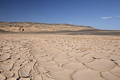 ​最新围棋世界排行榜  中国小将芈昱廷超