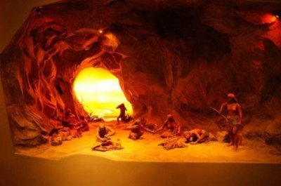 ​菩提大院：世界第三大栽培食用菌这样吃，原味且美味