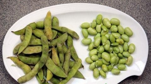 黄豆和毛豆是一种豆子吗