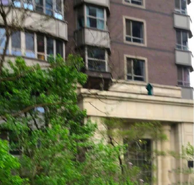 心虚?马蓉发声明反驳父亲派人撬锁事件后,却疯狂买水军转发!