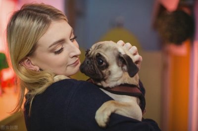 ​狗狗拆家排行榜：最能拆家的7种狗，养了每天都有“惊喜”