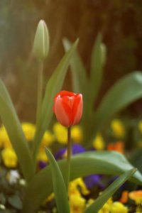 ​男人一吵架就离家出走（为什么吵架后我老公爱离家出走）