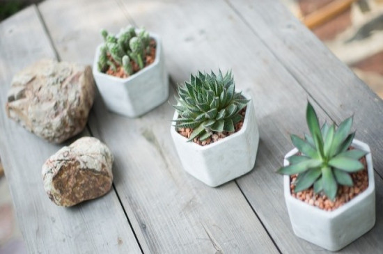 水泥花盆透气吗(图4)