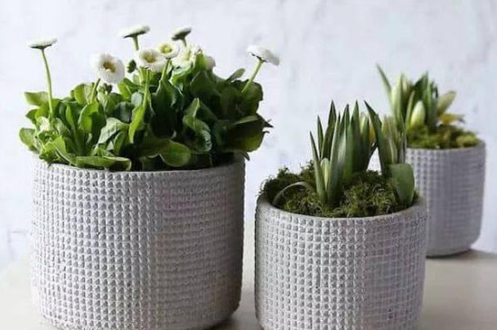 水泥花盆透气吗(图2)