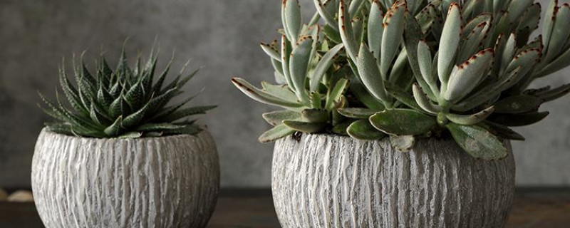 水泥花盆透气吗(图1)