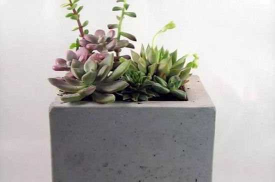 水泥花盆透气吗(图3)