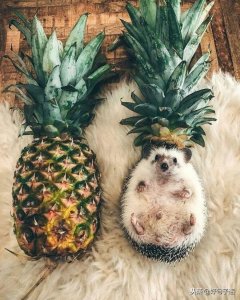 ​下雨天发个幽默朋友圈（很有创意的朋友圈说说）