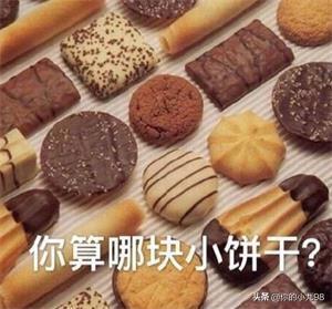 网络用语夹心（你算哪块小饼干是什么意思）(1)