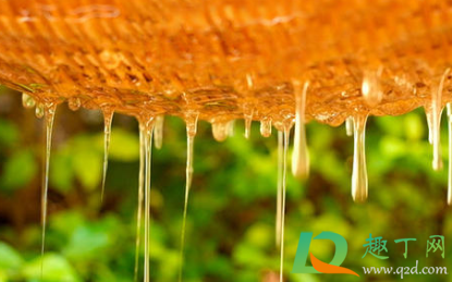 怎么判断是不是野生蜂蜜4