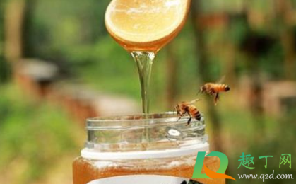 怎么判断是不是野生蜂蜜3