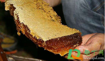 怎么判断是不是野生蜂蜜1