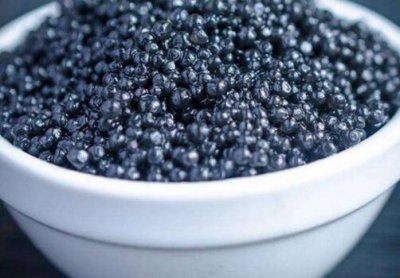 ​鱼子酱是什么东西(鱼子酱是什么鱼的鱼子 )
