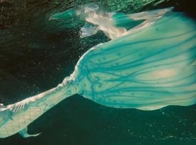 ​30秒内穿最多袜子的人 30秒穿26只袜子