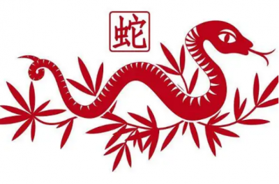 ​属蛇女的性格和脾气缺点分析 性格很傲气怎么办