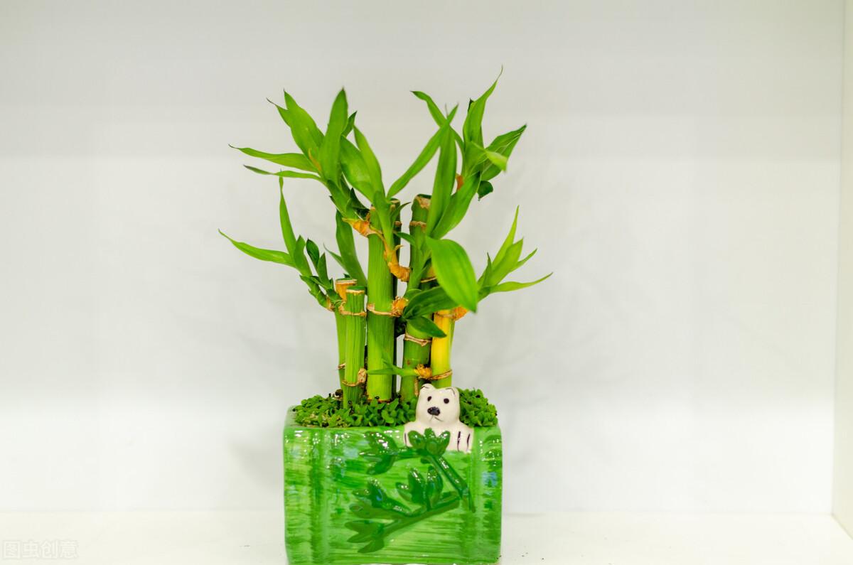 乔迁新居朋友送什么（朋友搬新家适合送什么礼物寓意好）