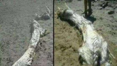 ​锁龙井下传出异吼是真的吗？百年来怪事频发专家总结