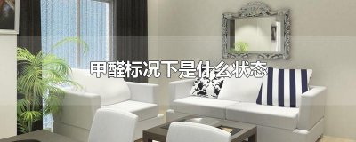 ​甲醛标况下是什么状态