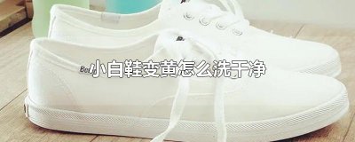 ​小白鞋变黄怎么洗干净