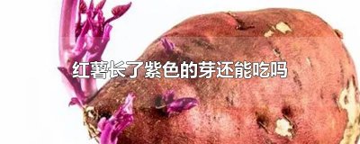 ​红薯长了紫色的芽还能吃吗