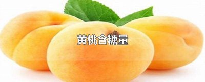 ​黄桃含糖量多少 黄桃含糖量高吗孕妇可以吃吗高血糖可以吃吗