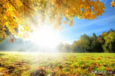 ​人的一生最大的财富是什么❓