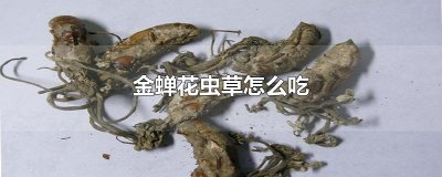 ​金蝉花虫草怎么吃