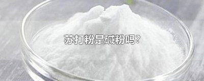 ​苏打粉是碱粉吗?