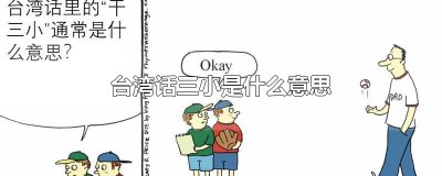 ​台湾话三小是什么意思