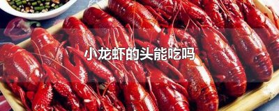 ​小龙虾的头能吃吗