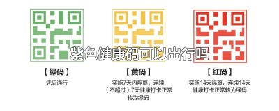 ​紫色健康码可以出行吗