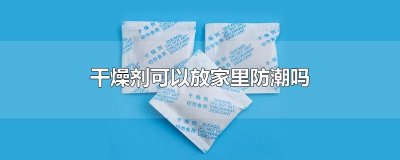 ​干燥剂可以放家里防潮吗
