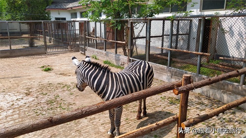 洛阳王城动物园,豫西地区最大的动物园