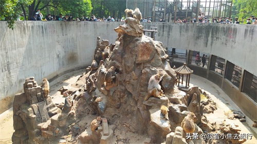 洛阳王城动物园,豫西地区最大的动物园