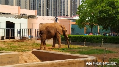 ​洛阳王城动物园，豫西地区最大的动物园