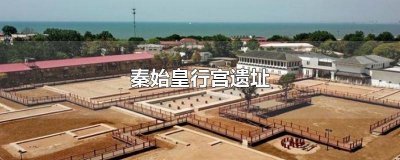 ​秦始皇行宫遗址博物馆馆长 秦始皇行宫遗址博物馆法人代表