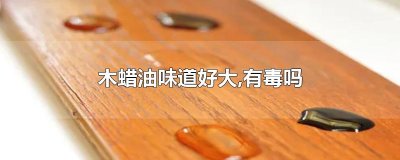 ​木蜡油味道好大,有毒吗