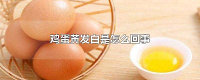 ​为什么鸡蛋黄有的发白有的发黄呢 鸡蛋黄发白和发黄是怎么回事