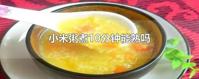 ​小米粥煮10分钟能熟吗