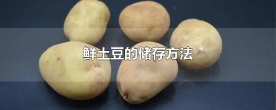 ​鲜土豆的储存方法