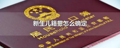 ​新生儿籍贯怎么确定