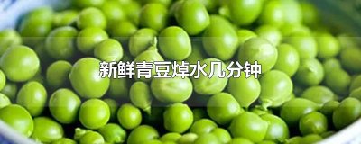 ​新鲜青豆焯水几分钟