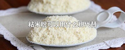 ​粘米粉可以用什么粉代替