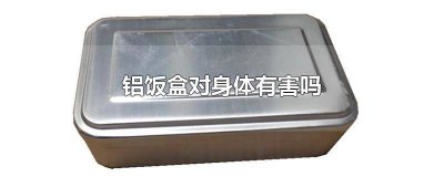 ​铝制饭盒安全吗能用吗 铝制饭盒安全吗能吃吗