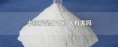 ​卡拉胶吃了对人体是否有害 含有卡拉胶的食品