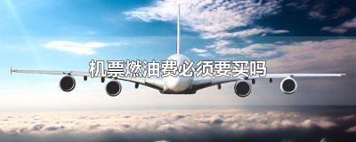 ​机票燃油费必须要买吗