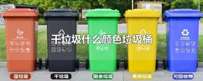 ​干垃圾什么颜色垃圾桶