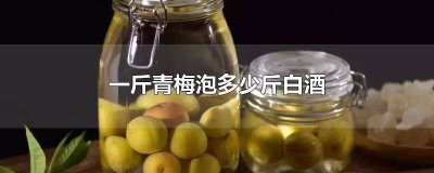 ​青梅酒一斤酒多少冰糖 6斤青梅放多少冰糖和酒泡