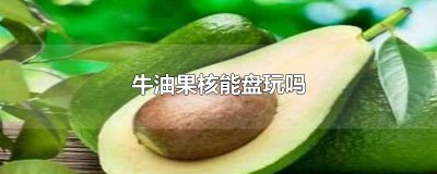 ​牛油果核能盘玩吗
